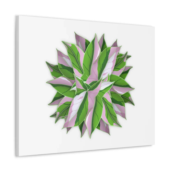 Tricolor Syngonium Canvas - Durable Canvas Art Print With Matte Finish & Botanical Design - Laura Christine Photography & Design