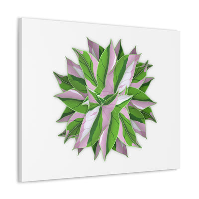 Tricolor Syngonium Canvas