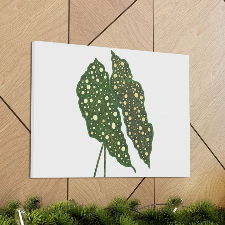 Begonia Maculata Canvas | Premium Canvas Art Print - Matte Finish, Durable Wall Decor - Laura Christine Photography & Design
