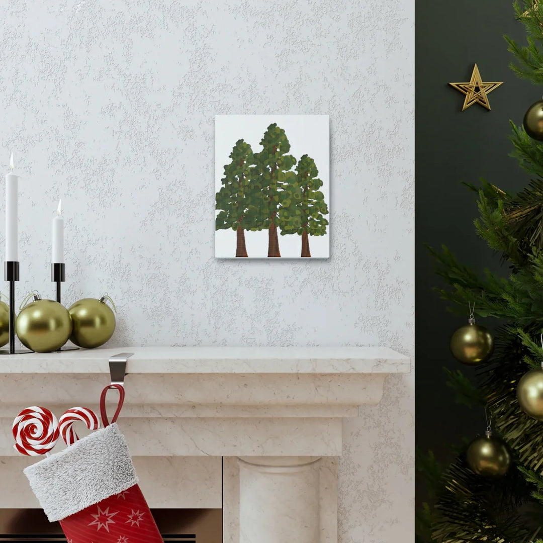 Coastal Redwoods Canvas - Stretched Cotton Canvas Art Print | Matte Finish Wall Hanging Artwork