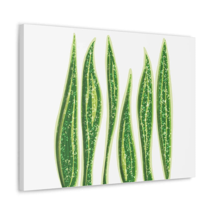 Snake Plant Canvas | Botanical Canvas Decor - Matte Finish Artwork for Living Room - Laura Christine Photography & Design