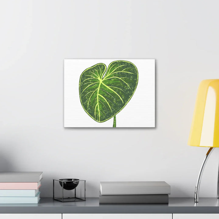 Philodendron Gloriosum Canvas - Stretched Canvas Art Print | Matte Indoor Wall Art - Laura Christine Photography & Design