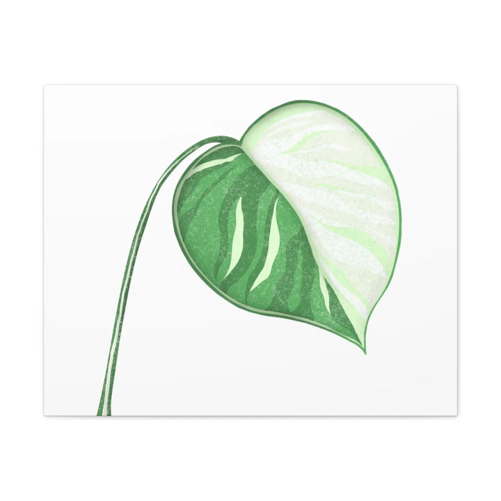 Monstera Albo Canvas | Large Tropical Leaf Artwork - Matte Finish Canvas Art Print - Laura Christine Photography & Design