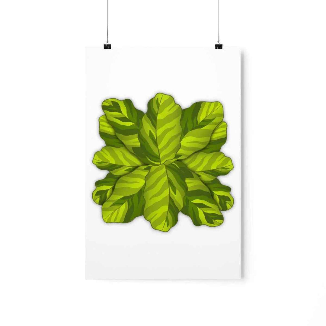 Calathea Yellow Fusion Print – Botanical Wall Art on Museum-Grade Paper Unframed