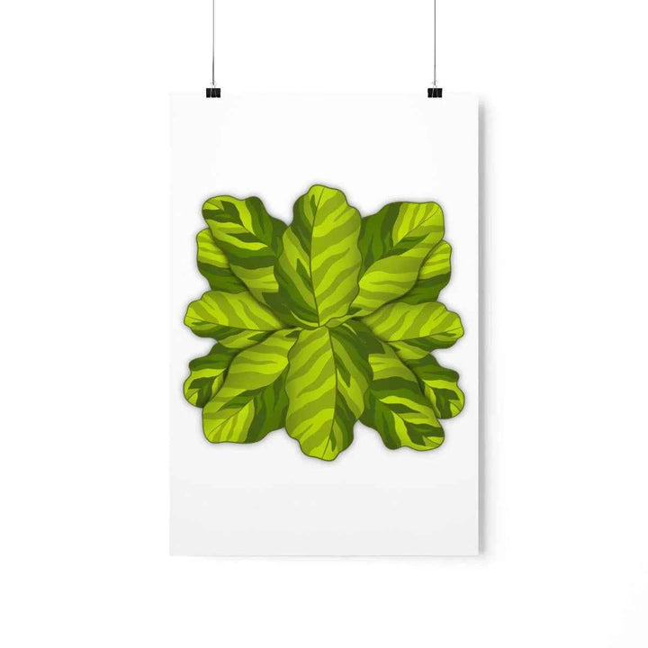Calathea Yellow Fusion Print – Botanical Wall Art on Museum-Grade Paper Unframed