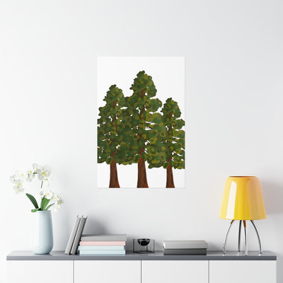 Coastal Redwoods Print