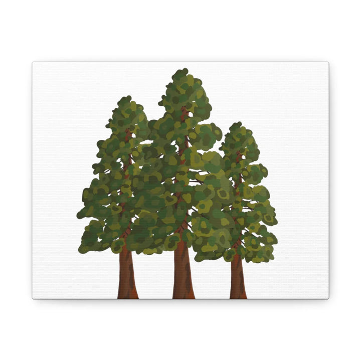 Coastal Redwoods Canvas - Stretched Cotton Canvas Art Print | Matte Finish Wall Hanging Artwork