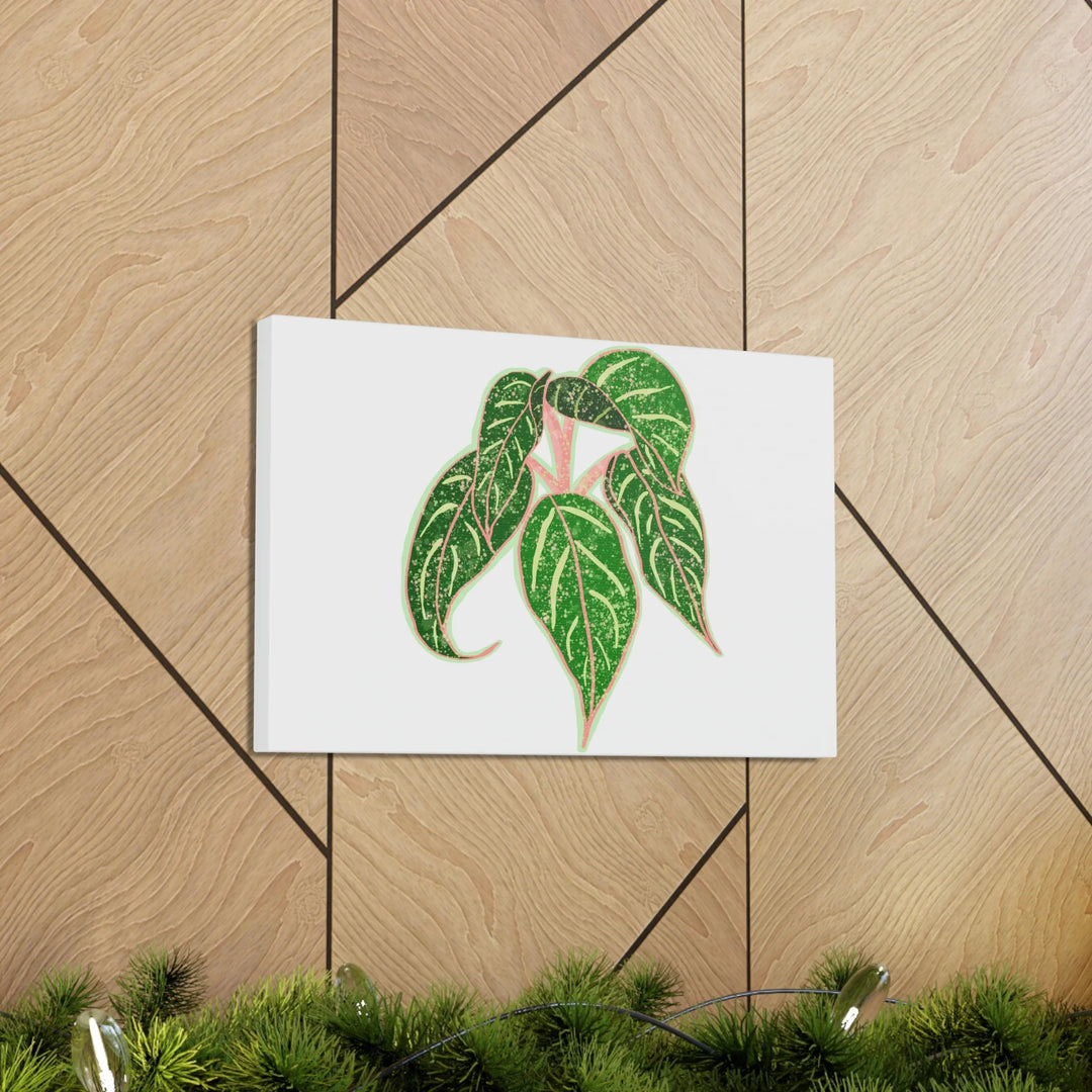 Aglaonema Plant Canvas | Sparkling Plant Artwork - Colorfast Canvas Art Print Decor
