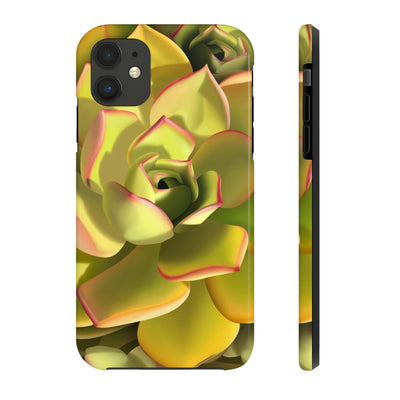 Noble Aeonium Succulent Phone Case, Phone Case, Printify, Accessories, Glossy, iPhone Cases, Matte, Phone accessory, Phone Cases, Samsung Cases, Laura Christine Photography & Design, laurachristinedesign.com