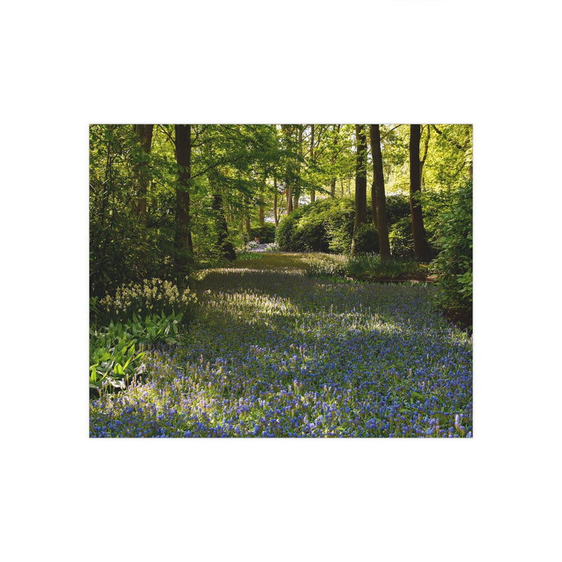 Forest flower path - Photo Poster, Poster, Printify, Art & Wall Decor, Home & Living, Paper, Poster, Posters, Laura Christine Photography & Design, laurachristinedesign.com