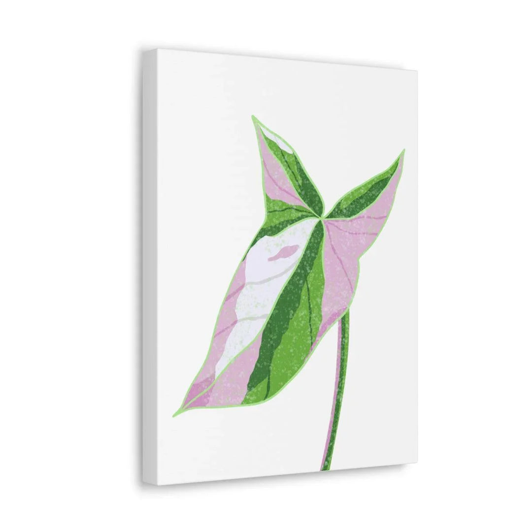 Syngonium Tricolor Canvas | Botanical Canvas Art Print With Matte Finish - Laura Christine Photography & Design
