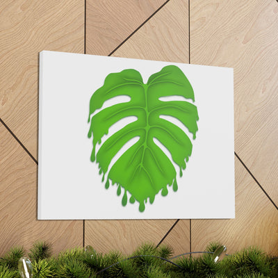 Melting Monstera Canvas