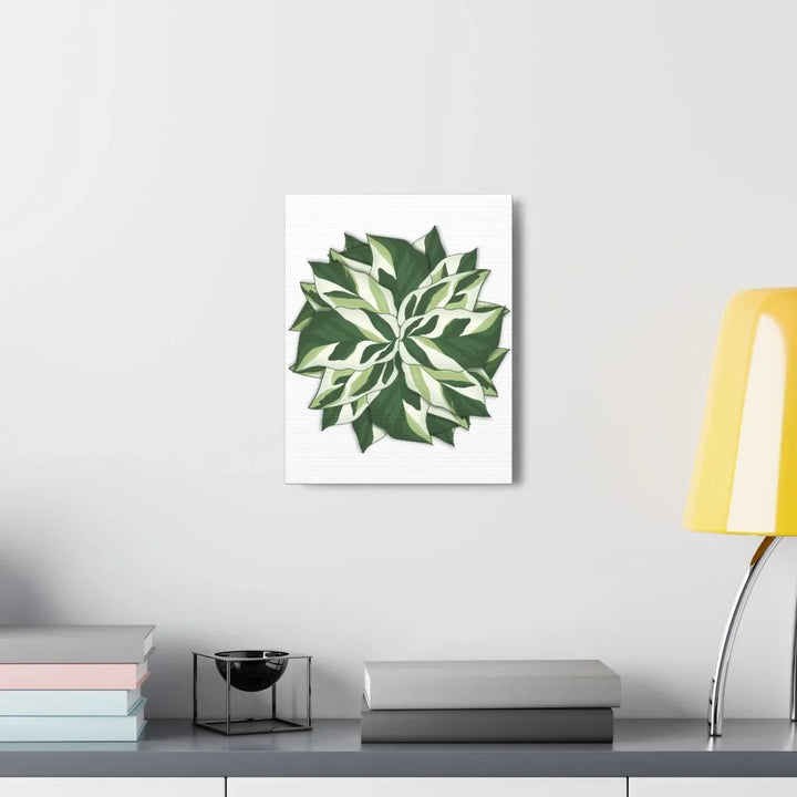 Calathea White Fusion Canvas | Indoor Wall Art - Matte Finish Botanical Canvas Art Print - Laura Christine Photography & Design