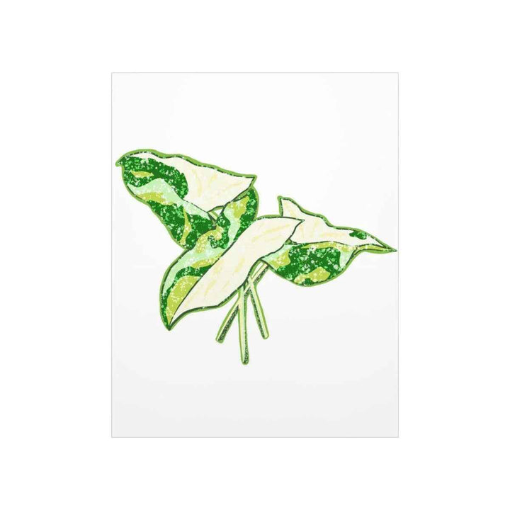 Marble Syngonium Print – Botanical Wall Art on Museum Grade Paper | Matte Finish Unframed