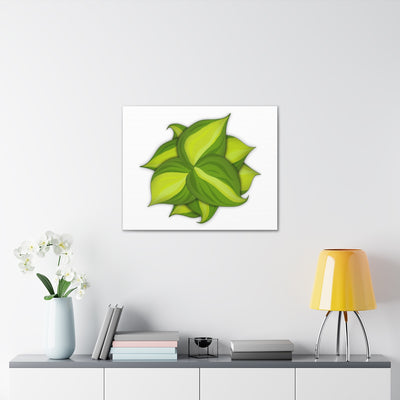 Philodendron Brasil Canvas