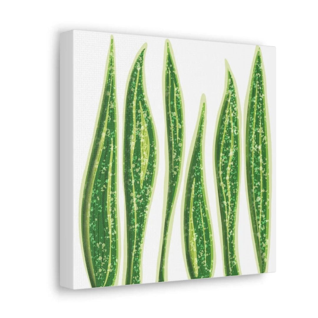 Snake Plant Canvas | Botanical Canvas Decor - Matte Finish Artwork for Living Room - Laura Christine Photography & Design