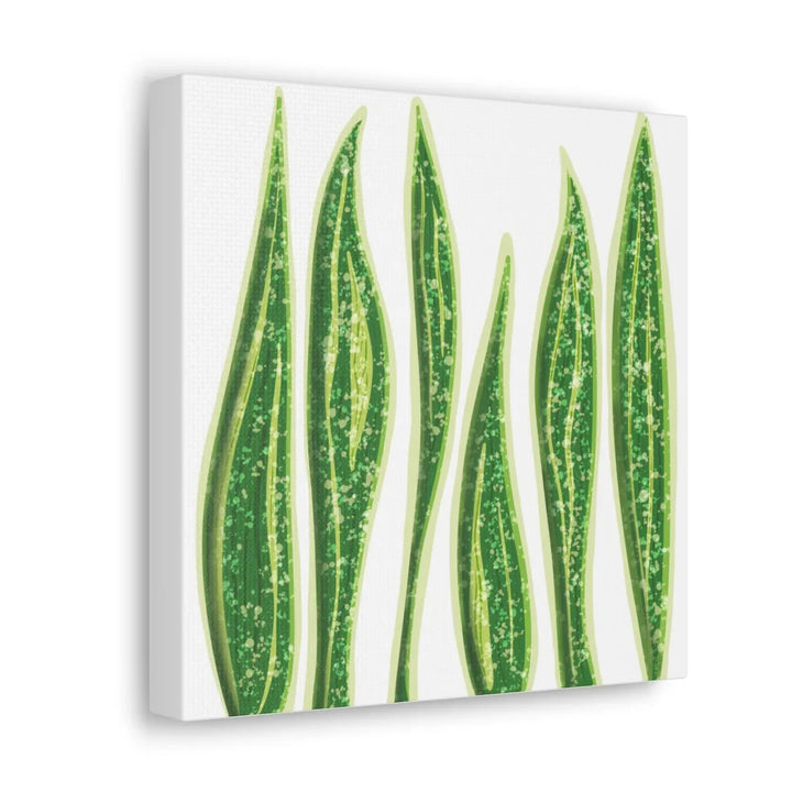 Snake Plant Canvas | Botanical Canvas Decor - Matte Finish Artwork for Living Room - Laura Christine Photography & Design