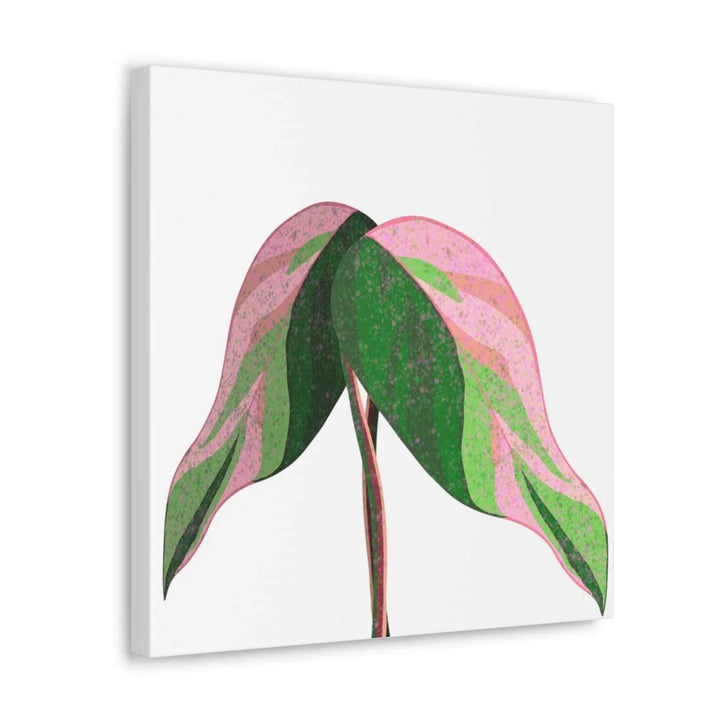 Pink Princess Philodendron Canvas, Canvas, Laura Christine Photography & Design, Art & Wall Decor, Canvas, Hanging Hardware, Home & Living, Indoor, Laura Christine Photography & Design, 