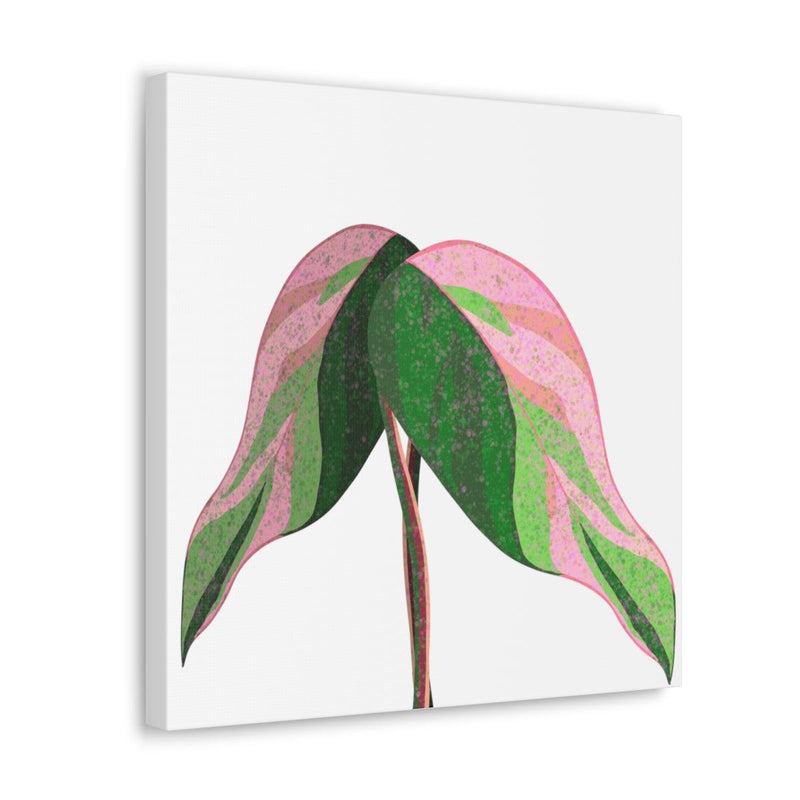 Pink Princess Philodendron Canvas, Canvas, Laura Christine Photography & Design, Art & Wall Decor, Canvas, Hanging Hardware, Home & Living, Indoor, Laura Christine Photography & Design, 