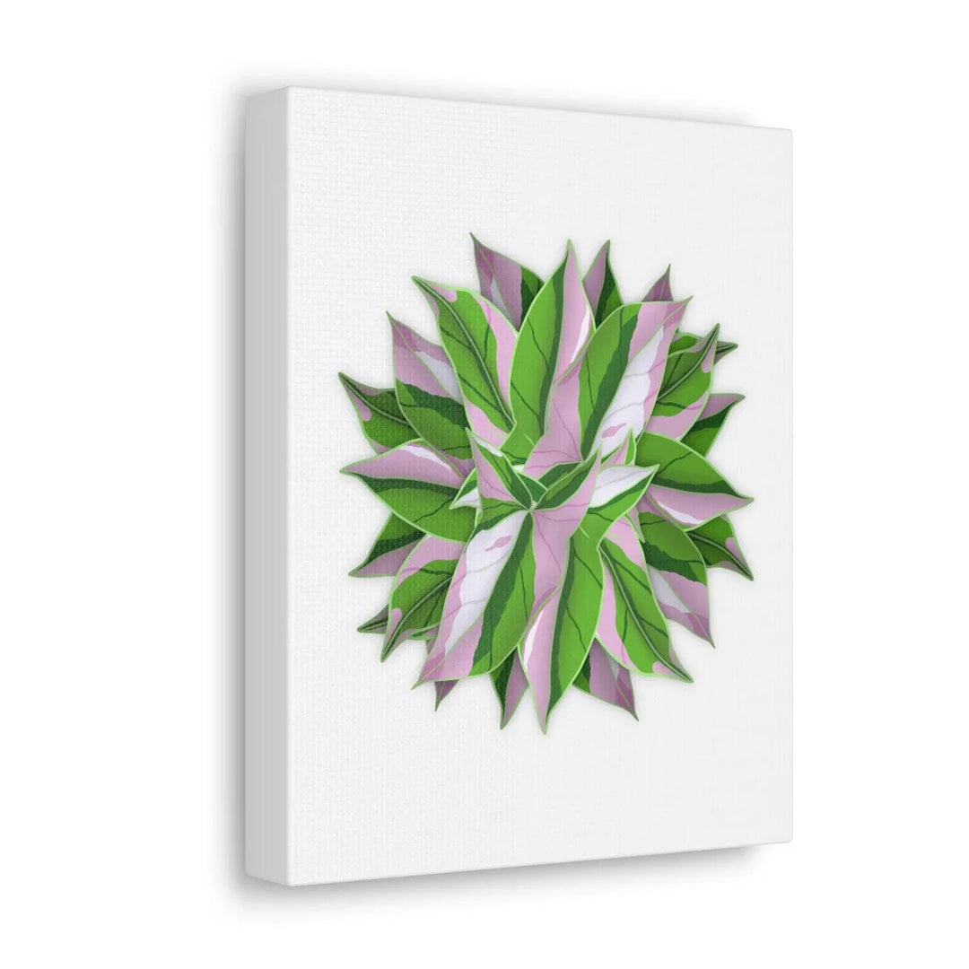 Tricolor Syngonium Canvas - Durable Canvas Art Print With Matte Finish & Botanical Design - Laura Christine Photography & Design