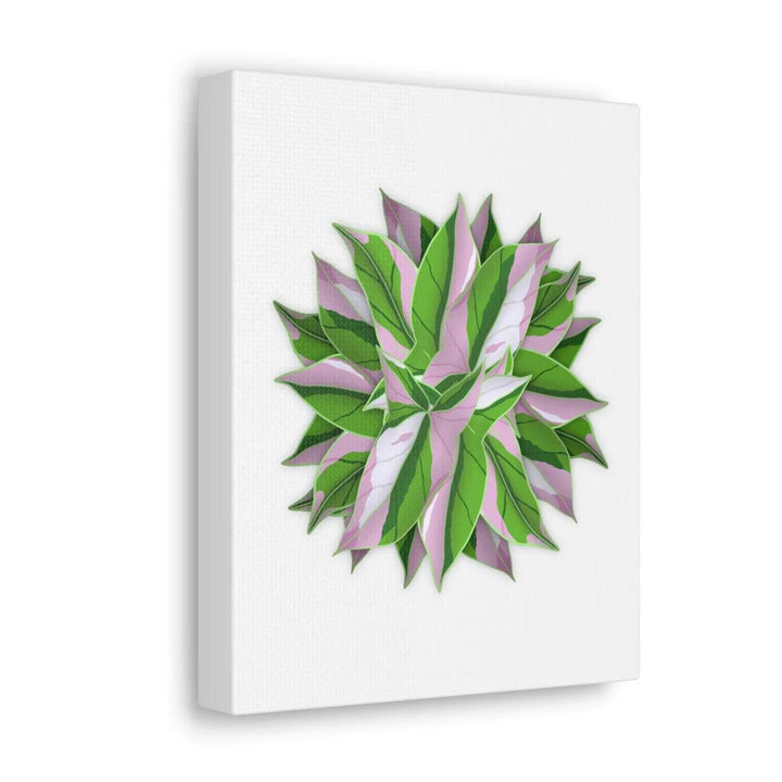 Tricolor Syngonium Canvas - Durable Canvas Art Print With Matte Finish & Botanical Design - Laura Christine Photography & Design