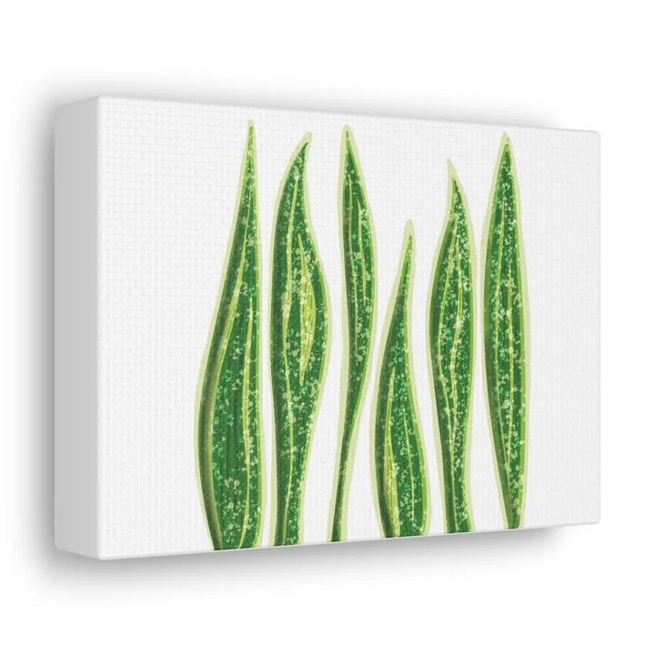 Snake Plant Canvas | Botanical Canvas Decor - Matte Finish Artwork for Living Room - Laura Christine Photography & Design