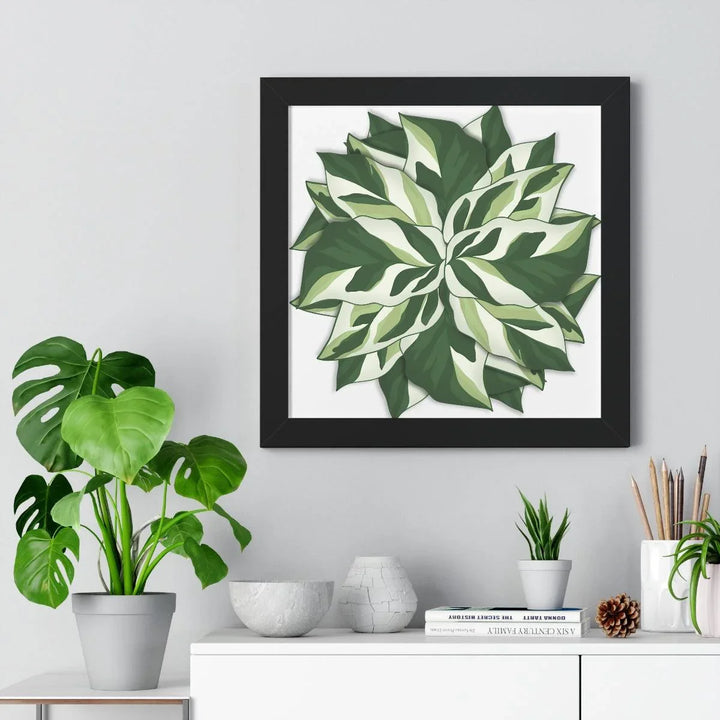 Calathea White Fusion Framed Print, Poster, Laura Christine Photography & Design, Bottle, Calathea, Canvas Bag, Coffee, Drinkware, Framed, Home & Living, Indoor, Paper, Posters, Prayer Plant, Reusable, Shopping Bag, Tea, Tote Bag, Travel, Tumbler, Water, White Fusion, Laura Christine Photography & Design, laurachristinedesign.com