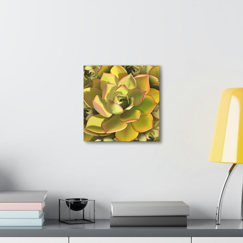 Noble Aeonium Succulent Pattern Canvas, Canvas, Printify, Art & Wall Decor, Canvas, Hanging Hardware, Home & Living, Indoor, Laura Christine Photography & Design, laurachristinedesign.com