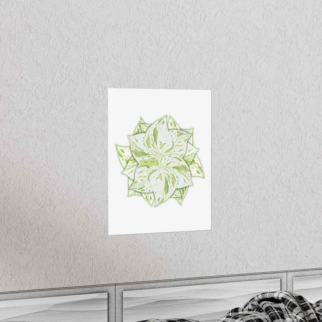 Snow Queen Pothos Print – Variegated Pothos Art on Museum Grade Paper Unframed