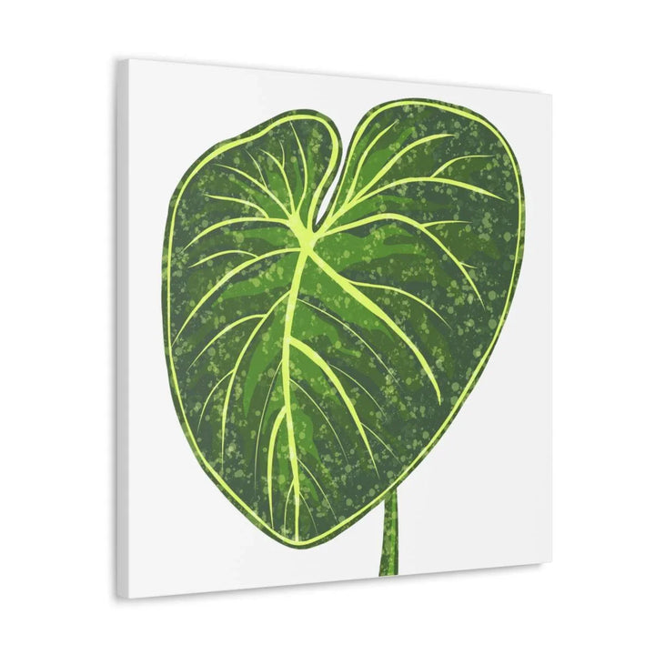 Philodendron Gloriosum Canvas - Stretched Canvas Art Print | Matte Indoor Wall Art - Laura Christine Photography & Design
