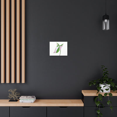 Syngonium Tricolor Canvas