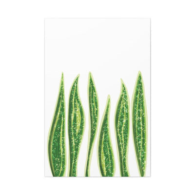 Snake Plant Canvas, Canvas, Laura Christine Photography & Design, Art & Wall Decor, Canvas, Hanging Hardware, Home & Living, Indoor, Laura Christine Photography & Design, 