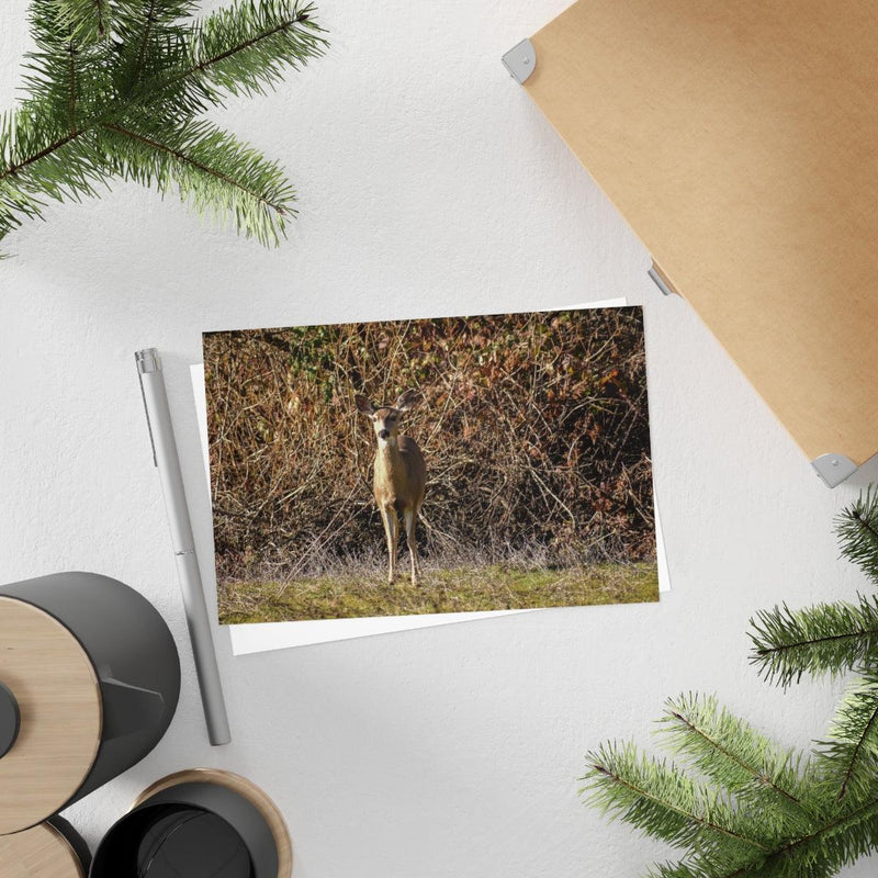 Deer Camouflaged in Thicket - Postcard, 10-pack, Paper products, Laura Christine Photography & Design, Back to School, Home & Living, Indoor, Matte, Paper, Posters, Laura Christine Photography & Design, laurachristinedesign.com