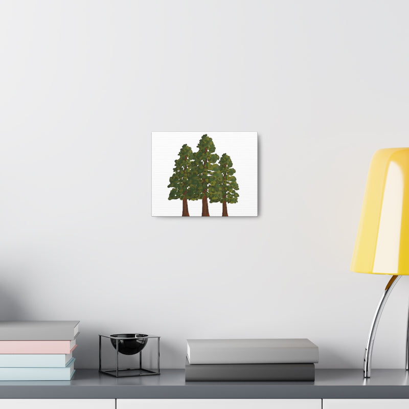 Coastal Redwoods Canvas