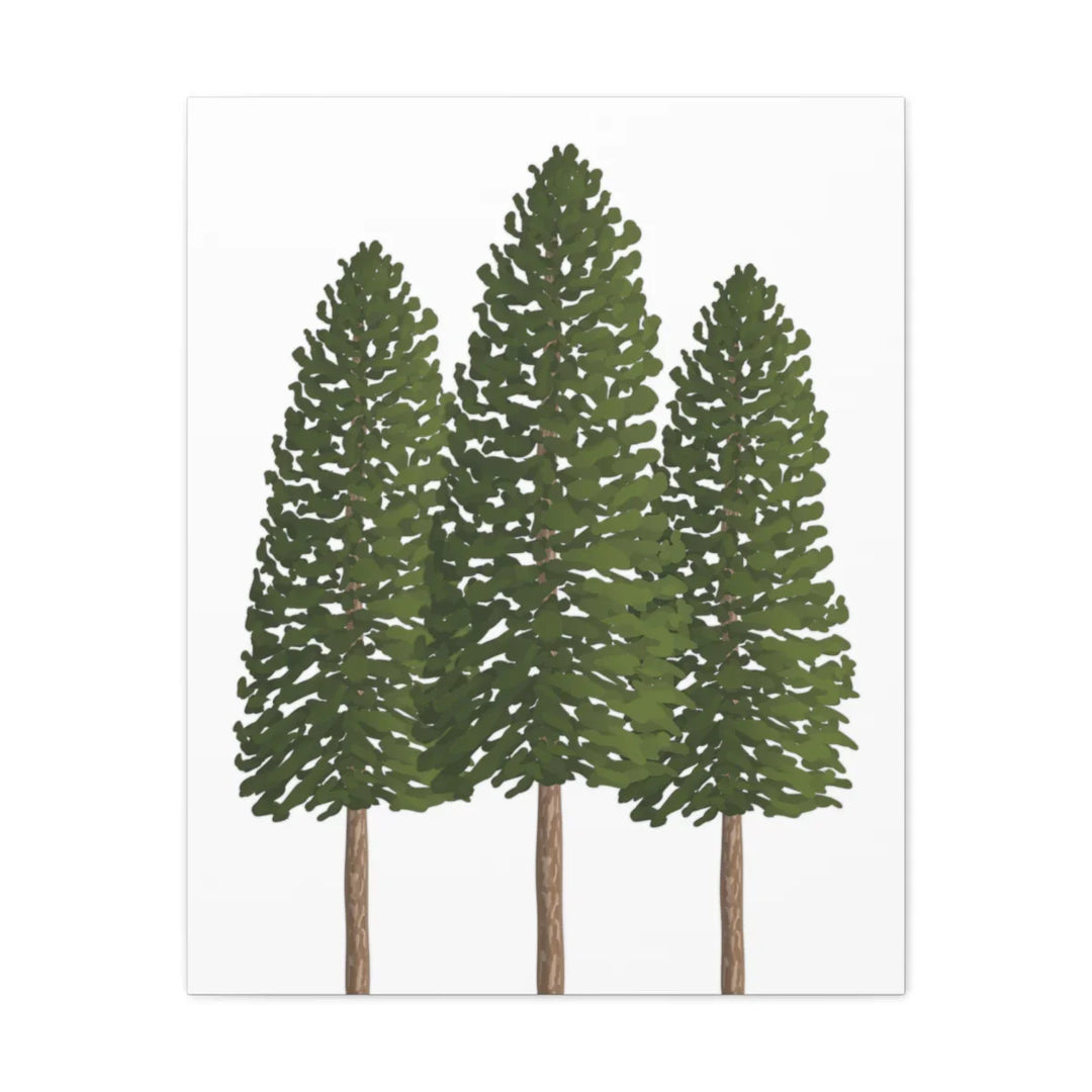 Ponderosa Pine Canvas - Large Stretched Cotton Canvas Art Print With Matte Finish