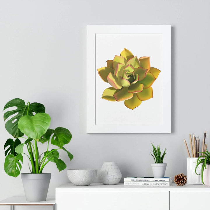 Noble Aeonium Succulent Framed Print, Poster, Printify, Framed, Home & Living, Indoor, Paper, Posters, Laura Christine Photography & Design, laurachristinedesign.com