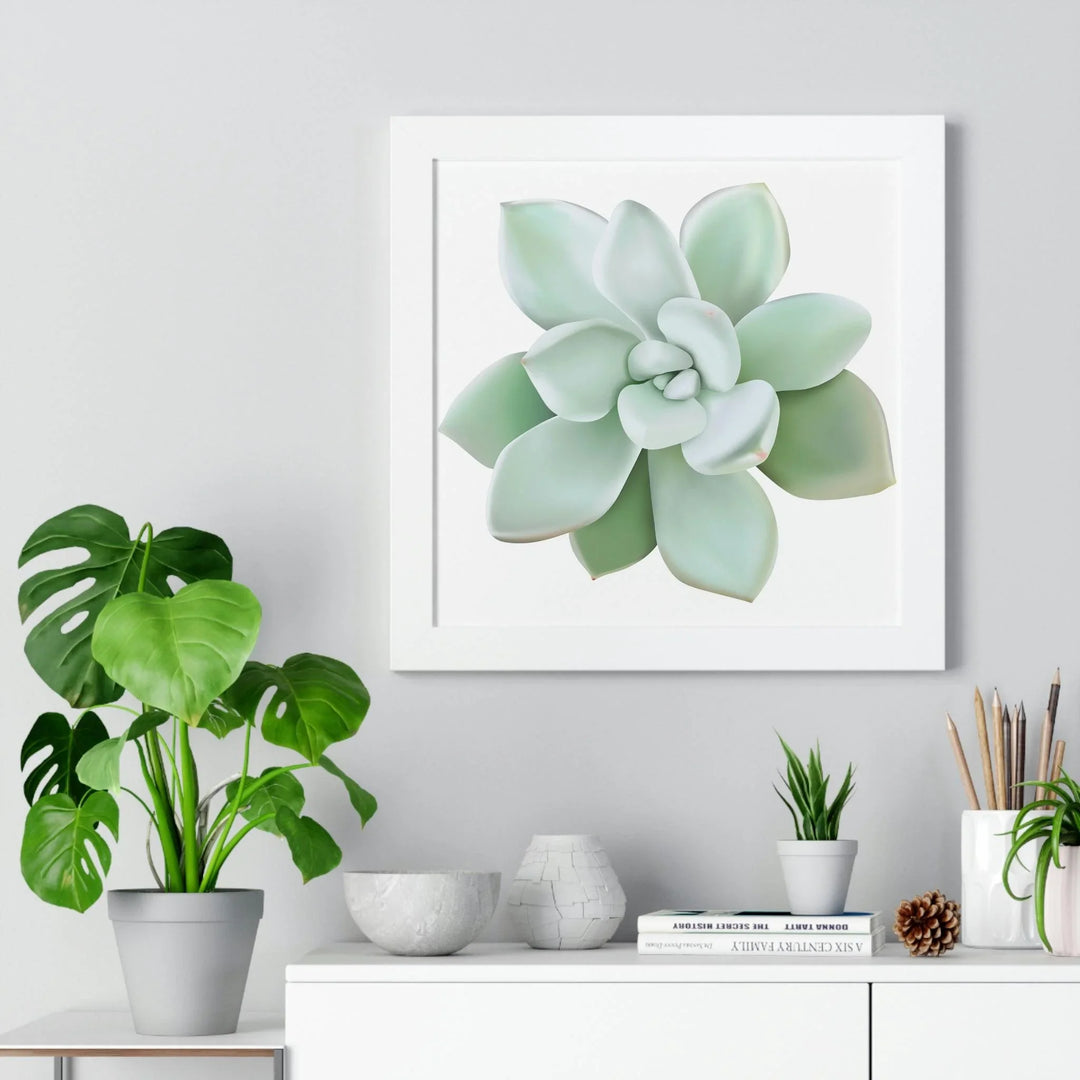 Pachyveria Haagei Succulent Framed Print, Poster, Printify, Framed, Home & Living, Indoor, Paper, Posters, Laura Christine Photography & Design, laurachristinedesign.com