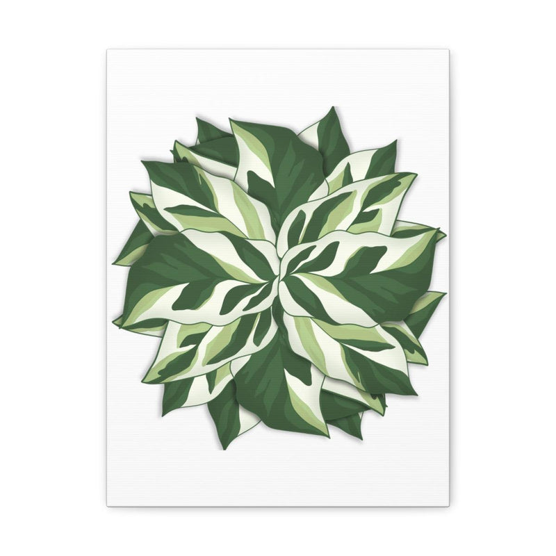 Calathea White Fusion Canvas, Canvas, Laura Christine Photography & Design, Art & Wall Decor, Canvas, Hanging Hardware, Home & Living, Indoor, Laura Christine Photography & Design, 