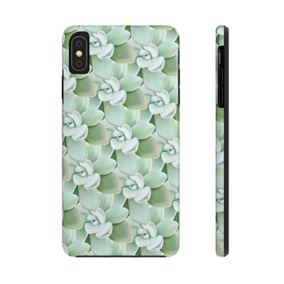 Pachyveria Haagei Succulent Pattern Phone Case, Phone Case, Printify, Accessories, Glossy, iPhone Cases, Matte, Phone accessory, Phone Cases, Samsung Cases, Laura Christine Photography & Design, laurachristinedesign.com