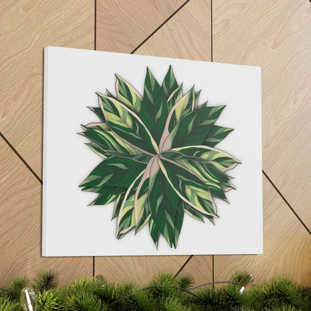 Stromanthe Triostar Canvas - Pastel Stripe Canvas Art Print With Vivid Color Artwork - Laura Christine Photography & Design