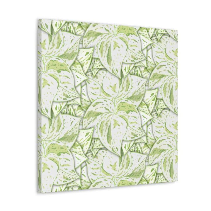 Snow Queen Pothos Canvas, Canvas, Laura Christine Photography & Design, Art & Wall Decor, Canvas, Hanging Hardware, Home & Living, Indoor, Laura Christine Photography & Design, laurachristinedesign.com