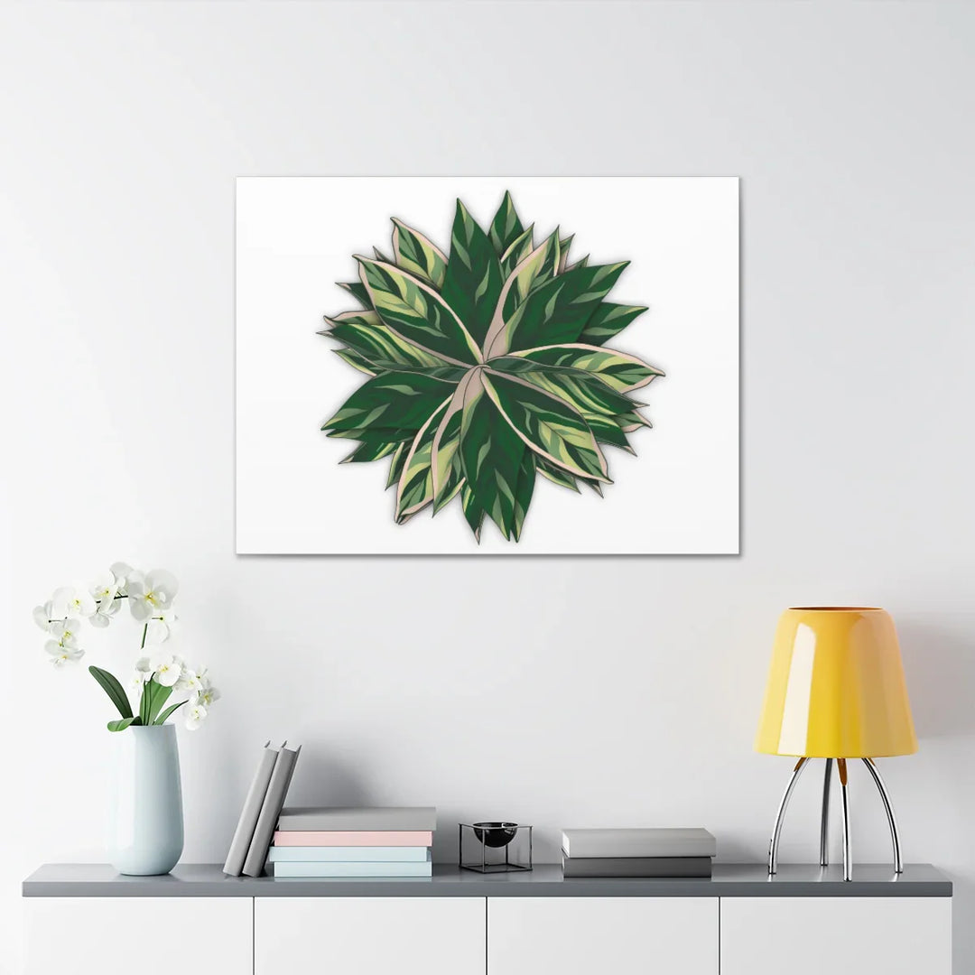 Stromanthe Triostar Canvas - Pastel Stripe Canvas Art Print With Vivid Color Artwork - Laura Christine Photography & Design