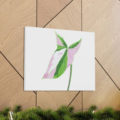 Syngonium Tricolor Canvas, Canvas, Laura Christine Photography & Design, Art & Wall Decor, Canvas, Hanging Hardware, Home & Living, Indoor, Laura Christine Photography & Design, 