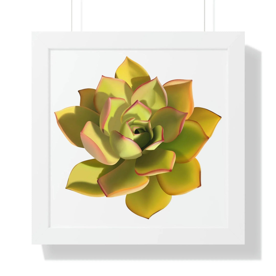Noble Aeonium Succulent Framed Print, Poster, Printify, Framed, Home & Living, Indoor, Paper, Posters, Laura Christine Photography & Design, laurachristinedesign.com