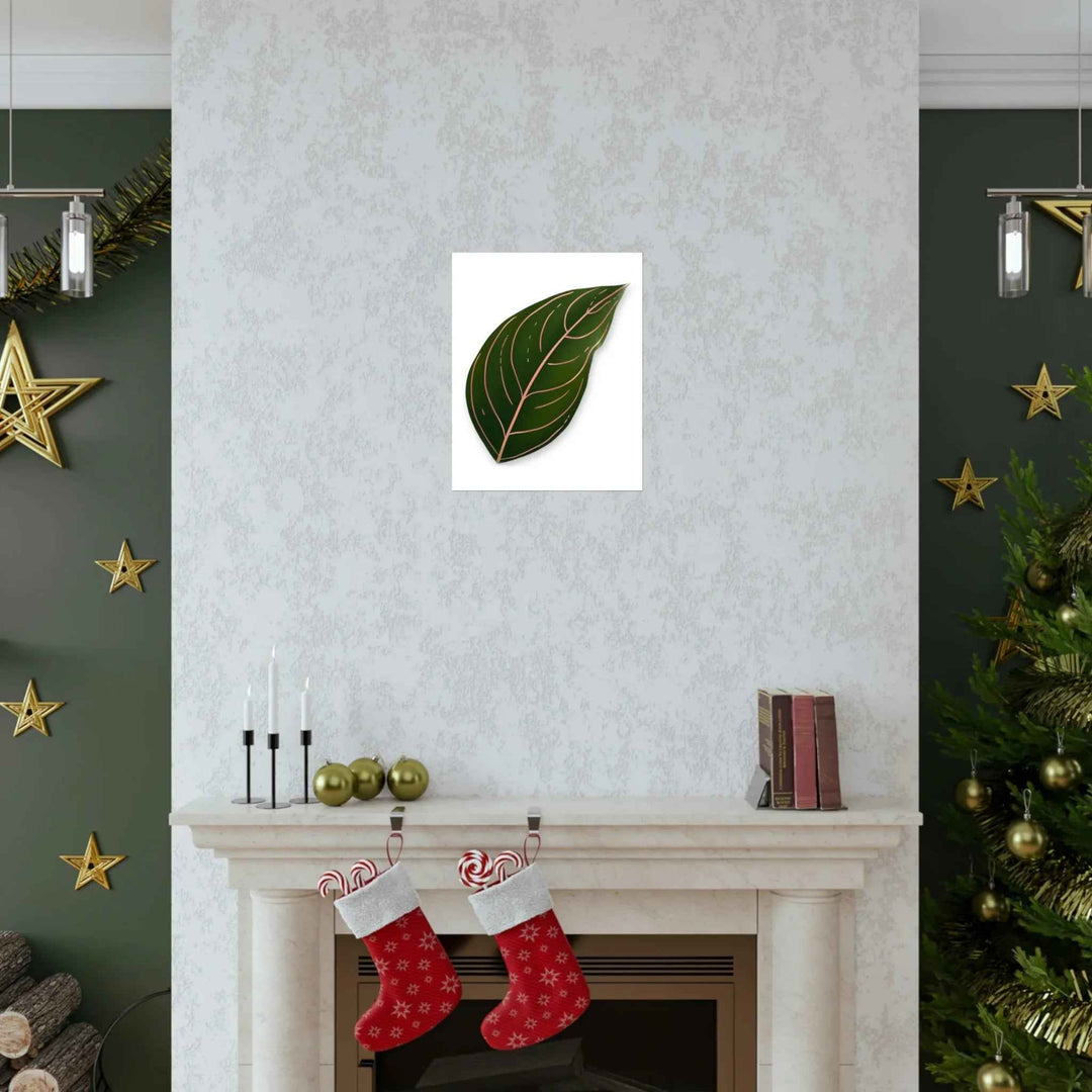 POS Aglaonema Rotundum Print