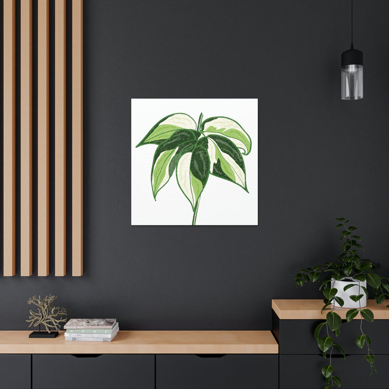 Lienzo Philodendron &