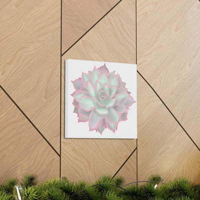 Echeveria Violet Queen Succulent Canvas, Canvas, Laura Christine Photography & Design, Art & Wall Decor, Canvas, Hanging Hardware, Home & Living, Indoor, Laura Christine Photography & Design, laurachristinedesign.com