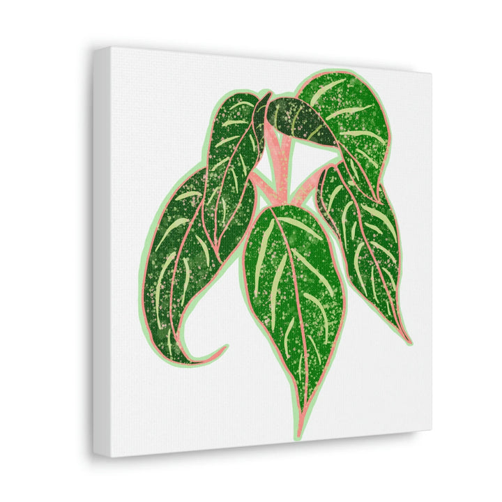 Aglaonema Plant Canvas | Sparkling Plant Artwork - Colorfast Canvas Art Print Decor