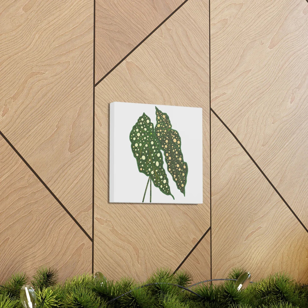 Begonia Maculata Canvas | Premium Canvas Art Print - Matte Finish, Durable Wall Decor - Laura Christine Photography & Design