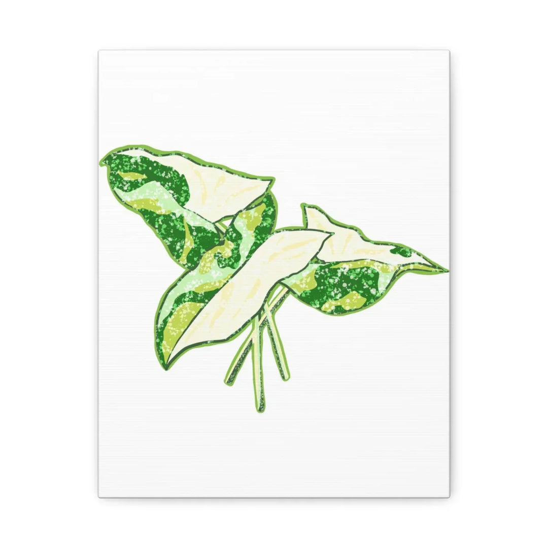 Marble Syngonium Canvas - Botanical Canvas Art Print | Durable Cotton Matte Finish - Laura Christine Photography & Design